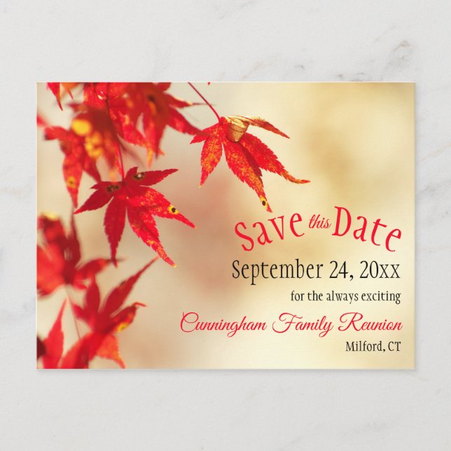 Family Wiedersehen Save the Date Fall Red Blätter  Postkarte (Vorderseite)