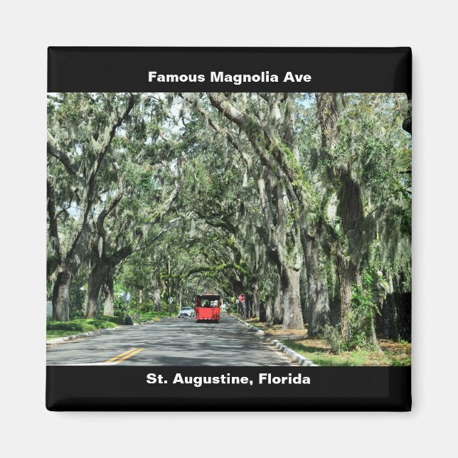 Famous Magnolia Avenue Magnet (Vorne)