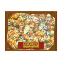 Famous Oahu Tree Snails are Going Fast Less