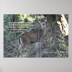 Famous Words: Laws - Deer - Poster
