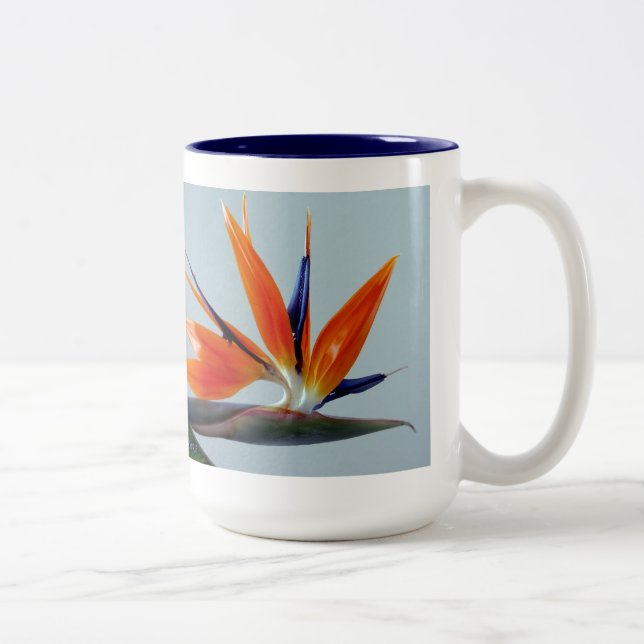 Fan der Paradise-Tasse Zweifarbige Tasse (Rechts)