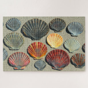 FAN-MUSCHELN 20x30 INCH
