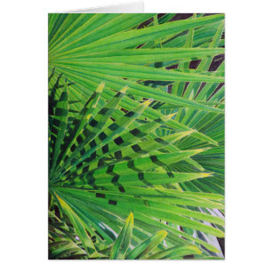 Fan-Palme