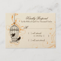 Fanciques tourbillons Orange Birdcage & Brown RSVP