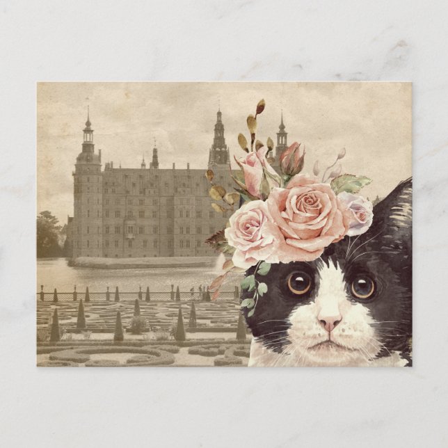 Fancy Cat & Das Schloss Postkarte (Vorderseite)