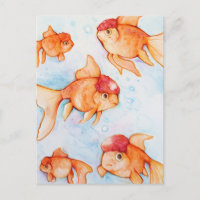 Fancy Oranda Goldfisch