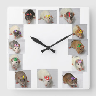 Fancy Rat Clock Quadratische Wanduhr