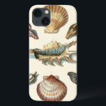Fancy Shell Beach iPhone 13 Hülle<br><div class="desc">George Wolfgang Knorr is known for the delicate detail and precision of his illustrations of shells and starfish. His Drawings were 2 beeinflussced by his own interest in science, a popular subjet matter of his era.</div>