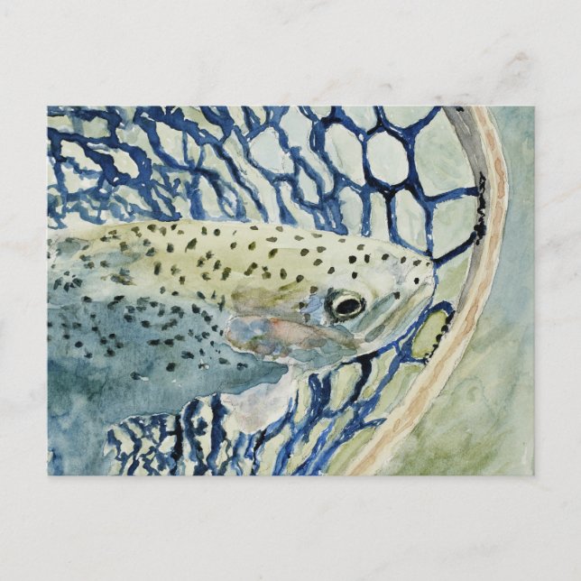 Fang- und Freisetzungsmodelle Postkarte (Vorderseite)