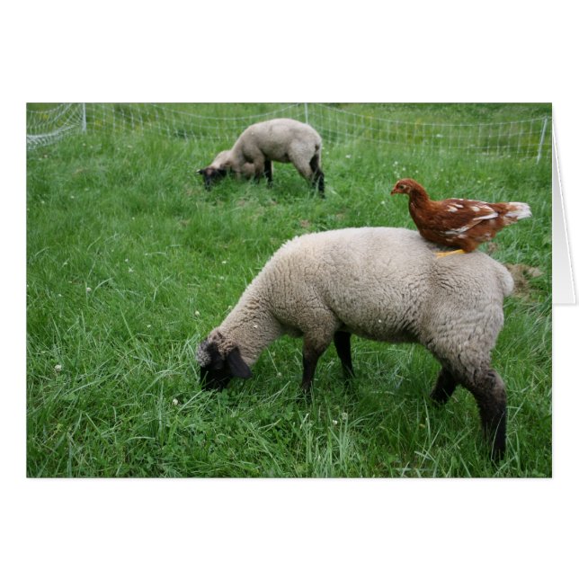 Fangen einer Fahrt (Vorderseite (Horizontal))