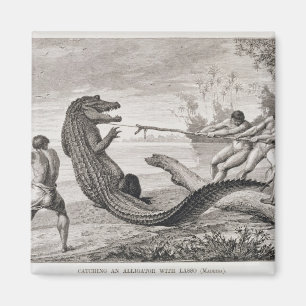 Fangen eines Alligators mit Lasso Magnet