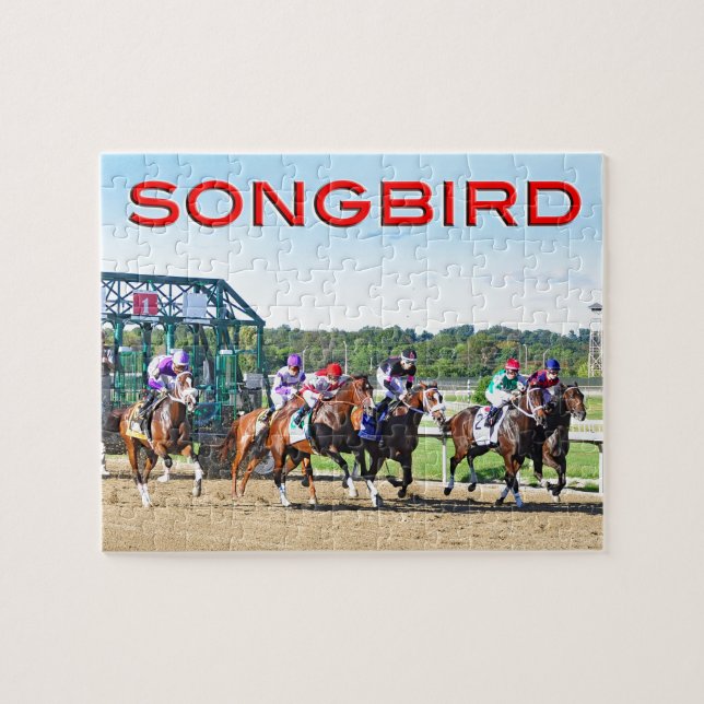 Fangen Sie an zu singen (Horizontal)