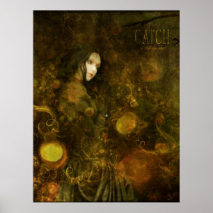 fangen Sie einen herabfallenden Stern Poster