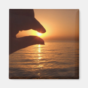 Fangen Sie es Magnet