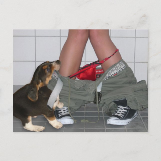 Fangen Sie wieder mit meinen Hosen runter, Niedlic Postkarte (Vorderseite)