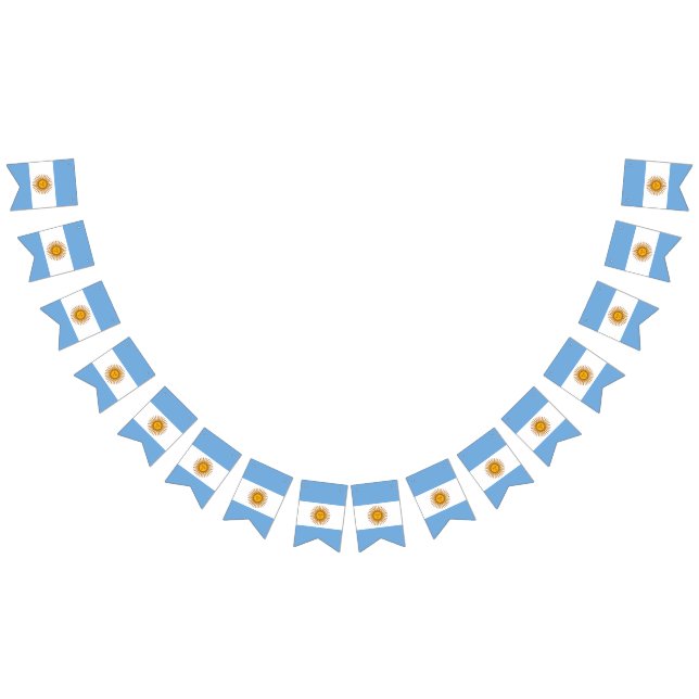 Fanion : Drapeau de l'Argentine (Tout)