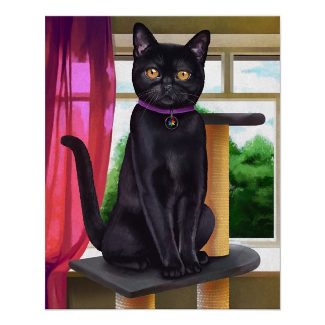 Fans de chat - Poster de chat noir Bombay (Devant)