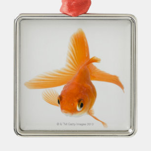 Fantail-Goldfisch (Carassius auratus) Ornament Aus Metall