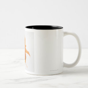 Fantail-Goldfisch (Carassius auratus) Zweifarbige Tasse
