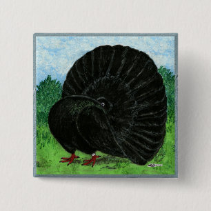 Fantail Pigeon Black Button