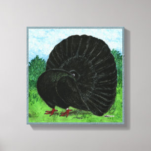 Fantail Pigeon Black Leinwanddruck