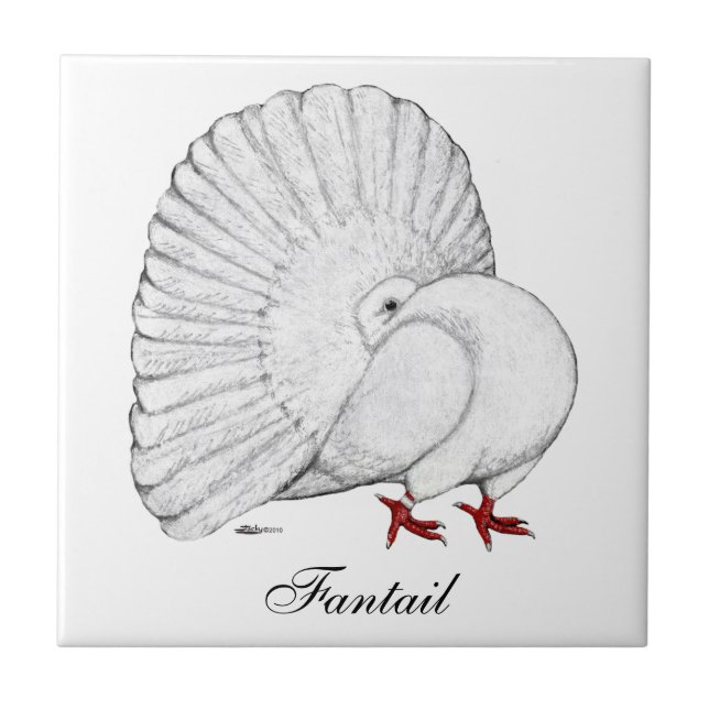Fantail Pigeon White Fliese (Vorderseite)