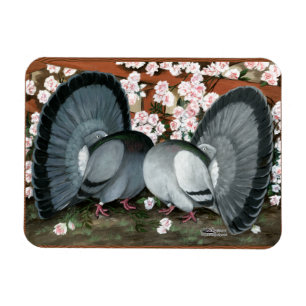 Fantail Pions Matched Pair Magnet