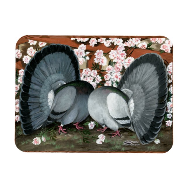 Fantail Pions Matched Pair Magnet (Horizontal)