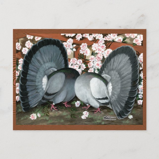 Fantail Pions Matched Pair Postkarte (Vorderseite)