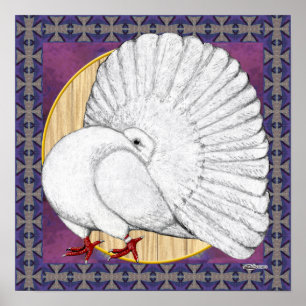 Fantail Taube weiß mit Hintergrund Poster