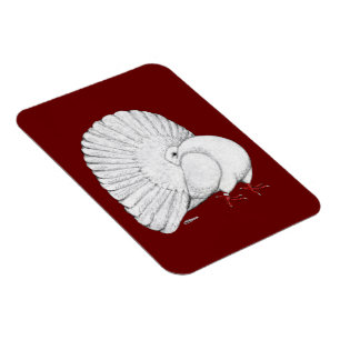 Fantail: weiß magnet