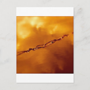 Fantasia Wire in Orange Postkarte