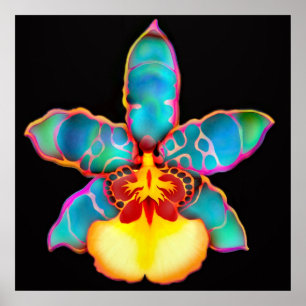 Fantasie farbiges Orchideen-Blumen-Plakat Poster