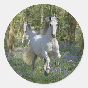 Fantasie-Pferde: Bluebell-Holz Runder Aufkleber