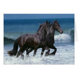 Fantasie-Pferde: Friesische Rinder u. Meer