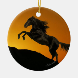 Fantasie-Pferde: Gebirgssonnenuntergang Keramik Ornament