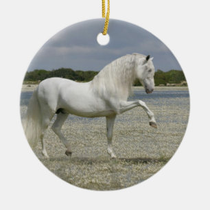 Fantasie-Pferde: Lord des Sees Keramikornament