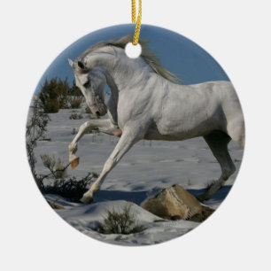 Fantasie-Pferde: Schnee-König Keramikornament