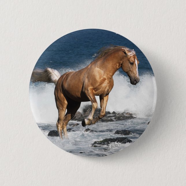 Fantasie-Pferde: Sommer-Spritzen Button (Vorderseite)
