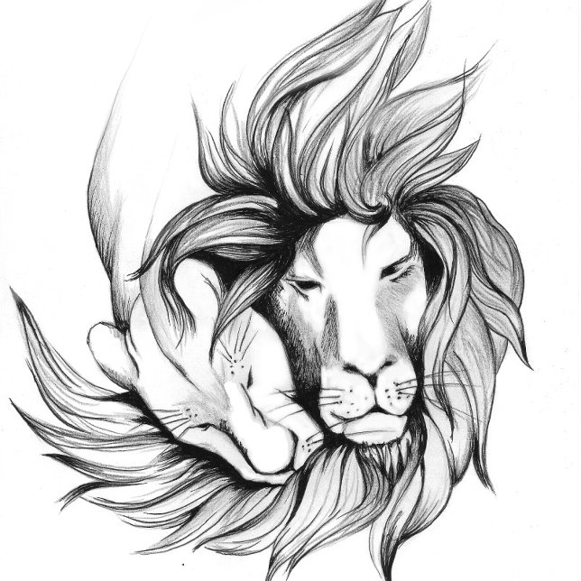 Fantasieabstrakter Schmetterling Flip Flops (Von Creator hochgeladen)