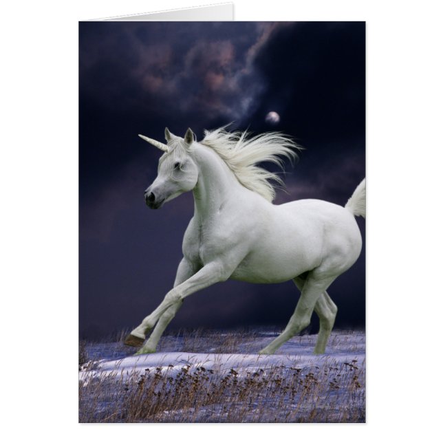 Fantasiepferde: Einhorn (Vorne)