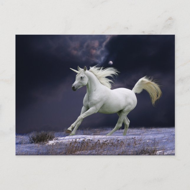 Fantasiepferde: Einhorn Postkarte (Vorderseite)