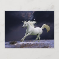 Fantasiepferde: Einhorn
