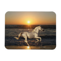 Fantasiepferde: Sonnenuntergang