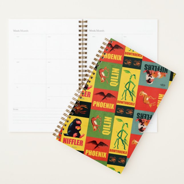 Fantastic Beasts Motif Vintage (Devant avec enveloppe)