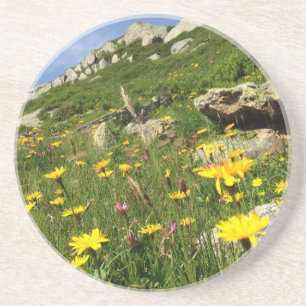Fantastisch! Alpenische Blume Getränkeuntersetzer