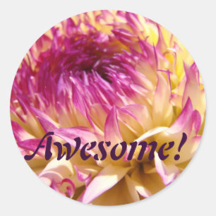Fantastisch! Aufkleber Dahlien Pink Purpurfarbene