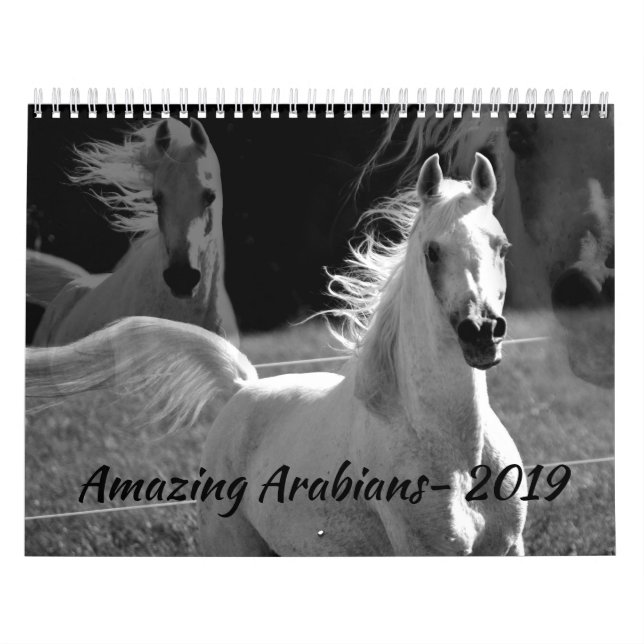 Fantastische Araber ein Kalender 2019 (Titelbild)