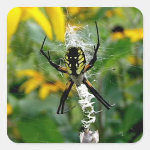 Fantastische Foto-Kugel-Spinne in den Quadratischer Aufkleber