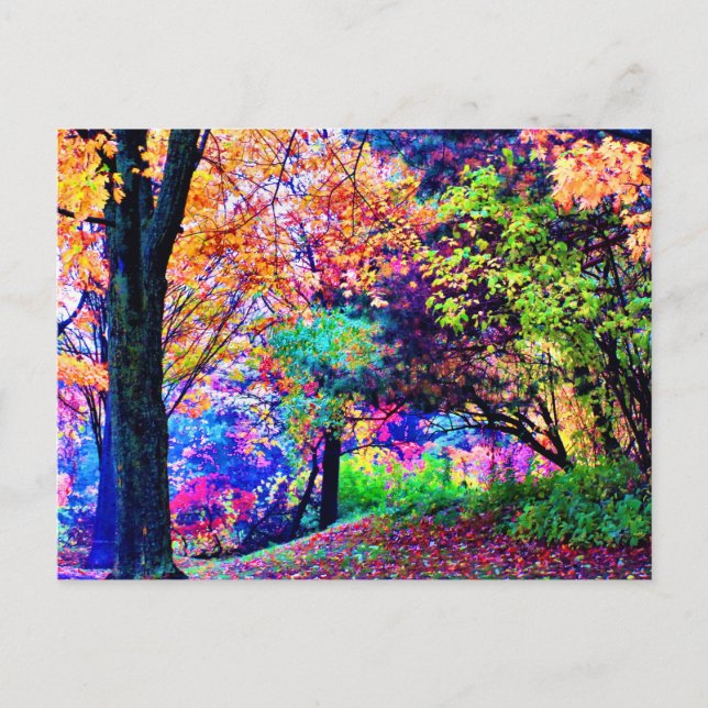 Fantastische Herbstfarben Herbst Blätter Bäume Lan Postkarte (Vorderseite)